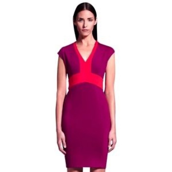 Narciso Rodriguez Dresses & Skirts - Narciso Rodriguez for DesigNation Sheath Dress - Size XL - Plum/Red - EUC